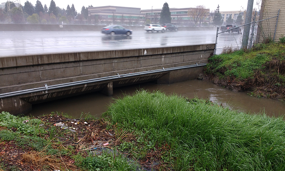 Muddy creek water rising close to street level