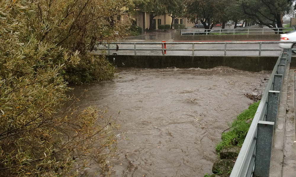 Muddy creek water rising close to street level