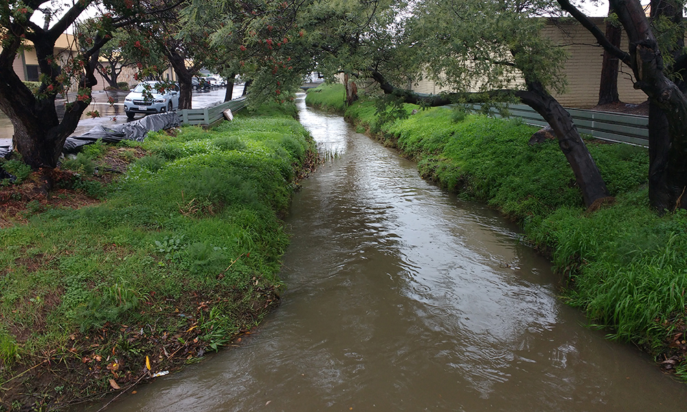 A creek with high water level next to a street with parked cars