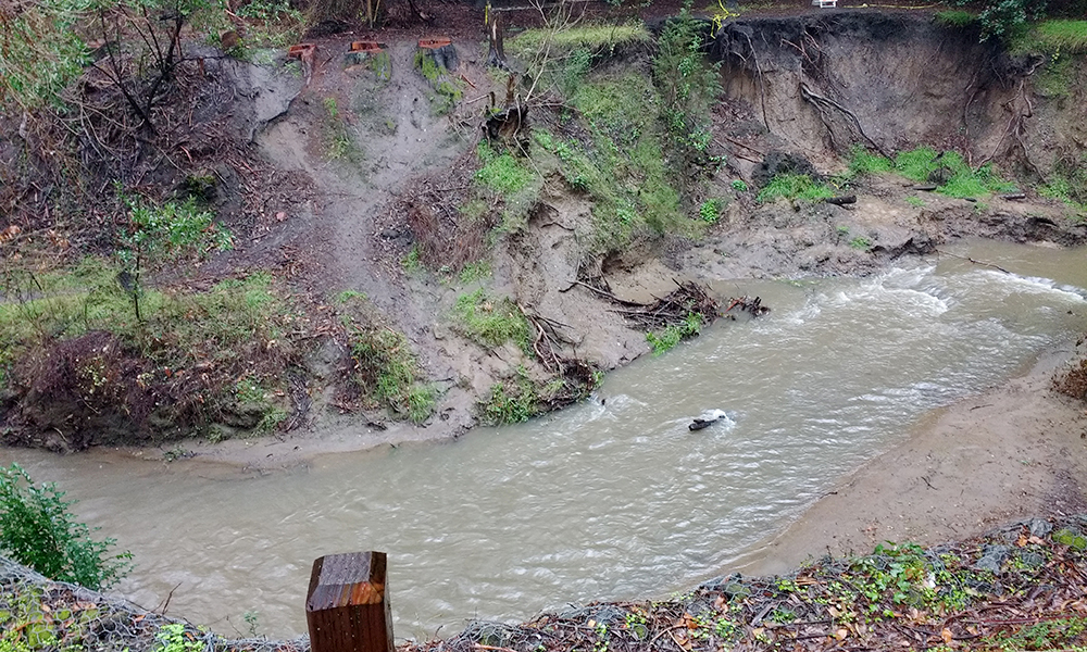 Water flowing down a creek