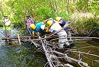 group of people in yellow hardhats working on a tree branch