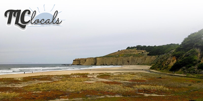 https___cdn.evbuc.com_images_92737321_193149486873_1_original landscape of beach and waves crashing onto shore; vegetation and hillside