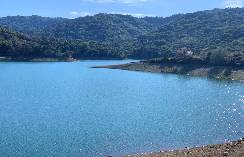 resorvoir lining a shoreline; trees behind in landscape; sun shining on water