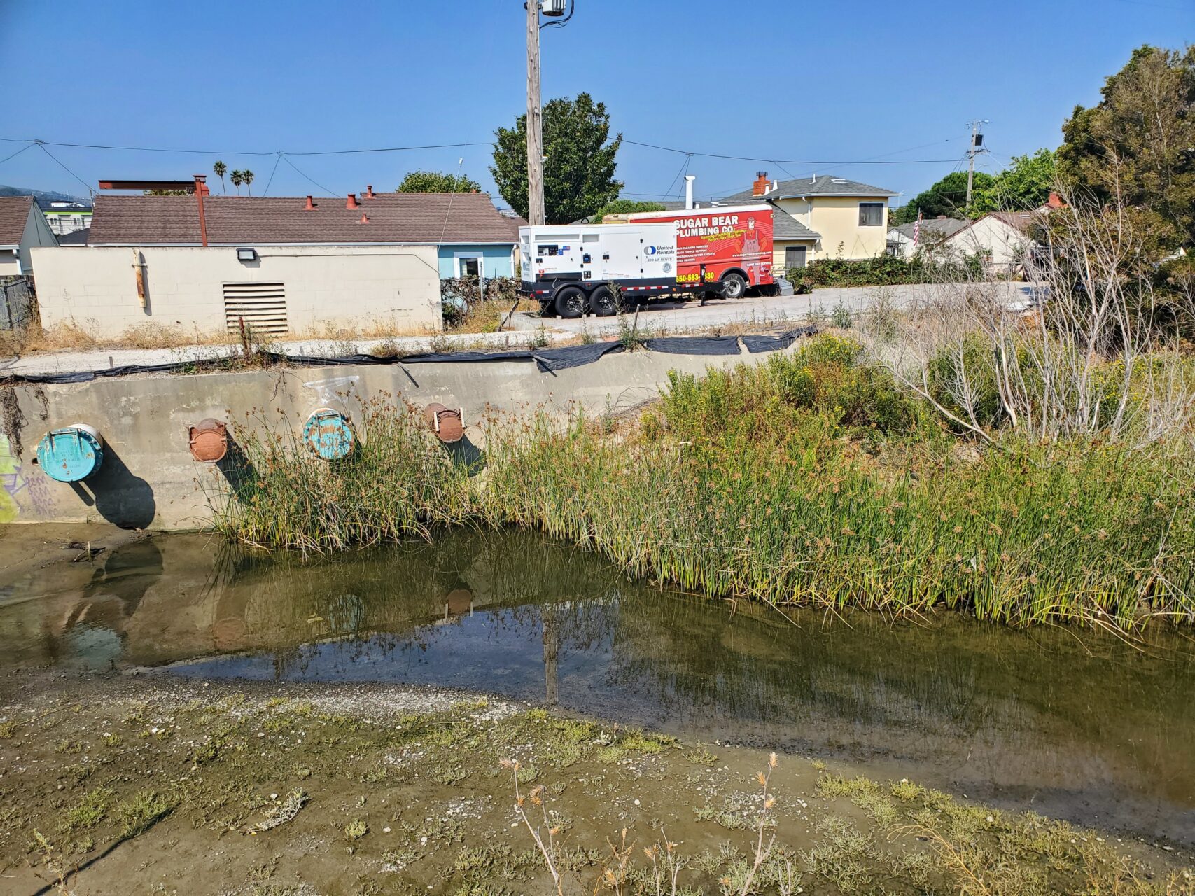 A creek lined with vegetation and a concrete channel wall