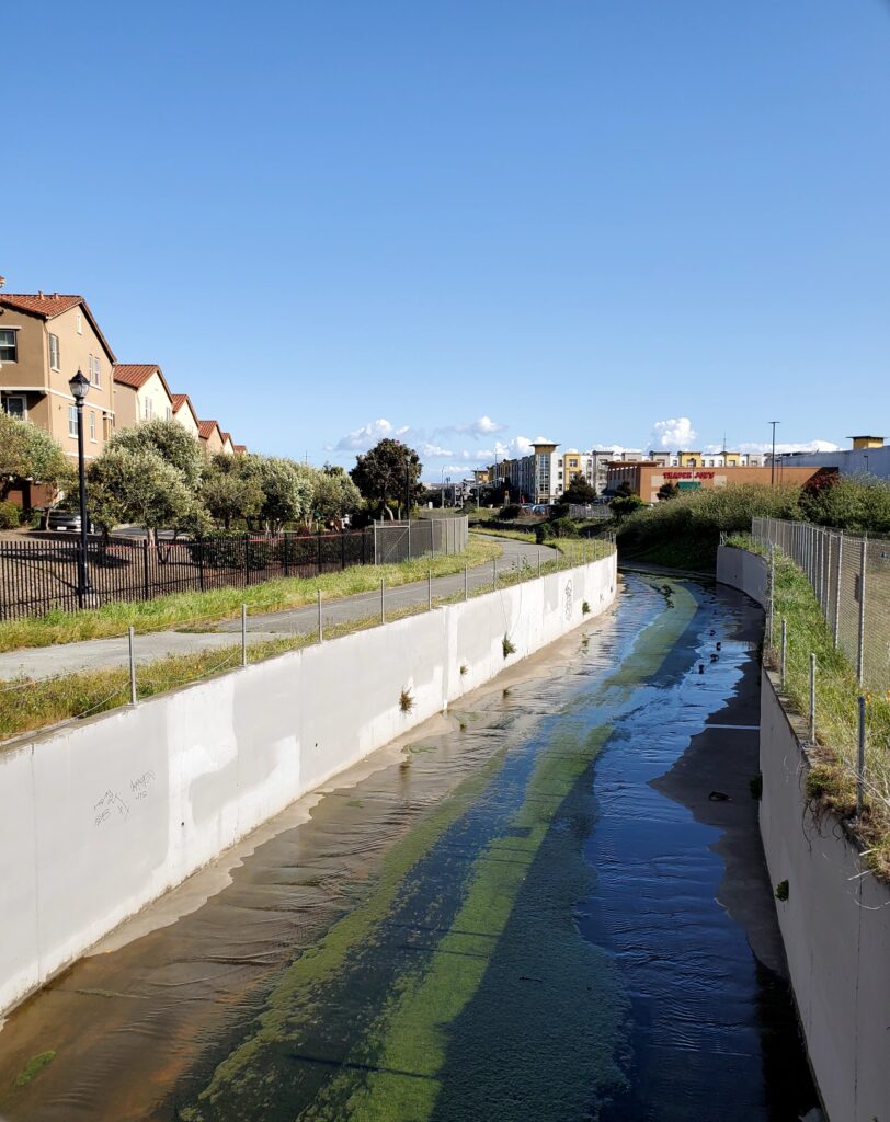 A creek with low water level surrounded by concrete walls with houses in the background