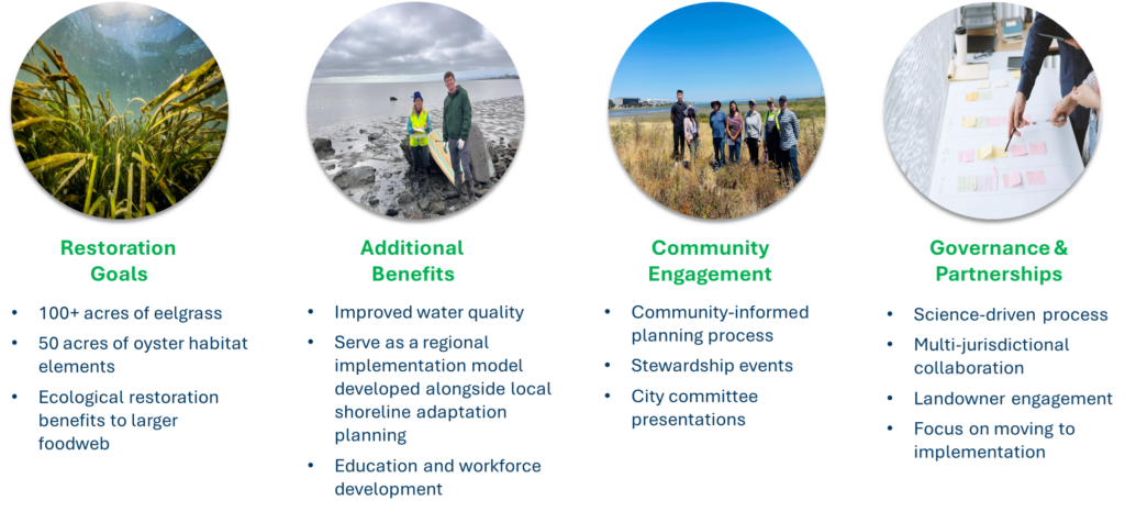 Graphic showing four goals, as follows:  1. Restoration goals: 100+ acres of eelgrass , 50 acres of oyster habitat elements, Ecological restoration benefits to larger foodweb. The image is of eelgrass.  2. Additional Benefits: Improved water quality, serve as a regional implementation model developed alongside local shoreline adaptation planning, sducation and workforce development. The image is of two scientists standing on the Brisbane shoreline at low tide.  3. Community engagement: Community-informed planning process, stewardship events, city committee presentations. The image is of people standing at a restoration site near Colma.  4. Governance and partnerships: Science-driven process, Multi-jurisdictional collaboration, Landowner engagement, Focus on moving to implementation. The image is of people pointing at post notes at a workshop.