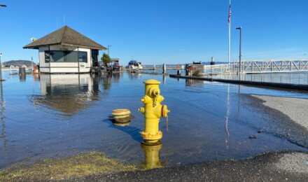 Water pooling the pier at a marina