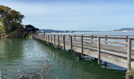 High water level almost reaching the bottom of the pedestrian walkway of a bridge