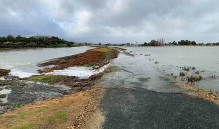 Water from the SF Bay covering a walkway